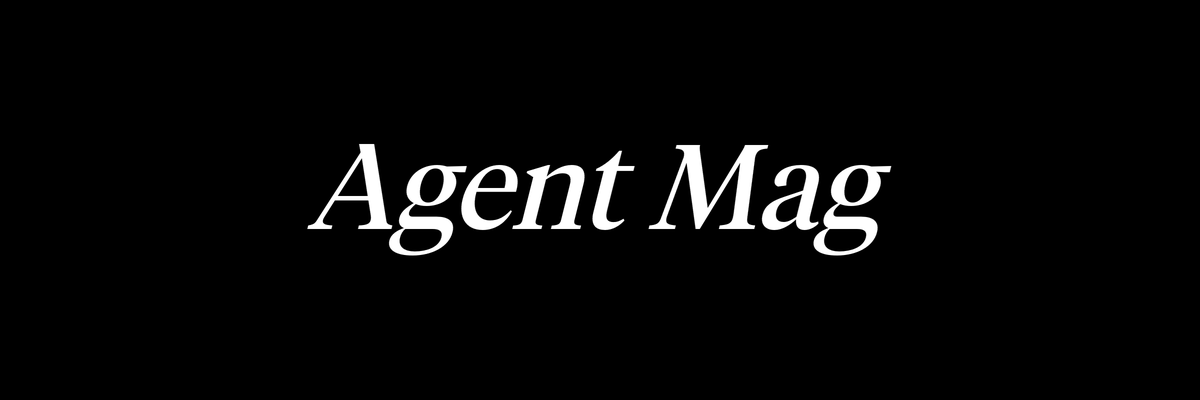 Agent Mag logo